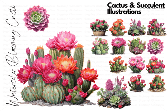 Download Cactus and Succulent Illustrations - Rat Collection